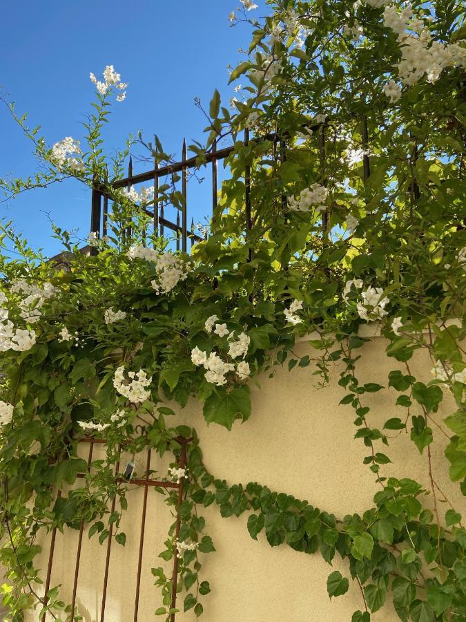 Le Jardinet De Rosa Maison De Village Eygalieres  Exterior photo